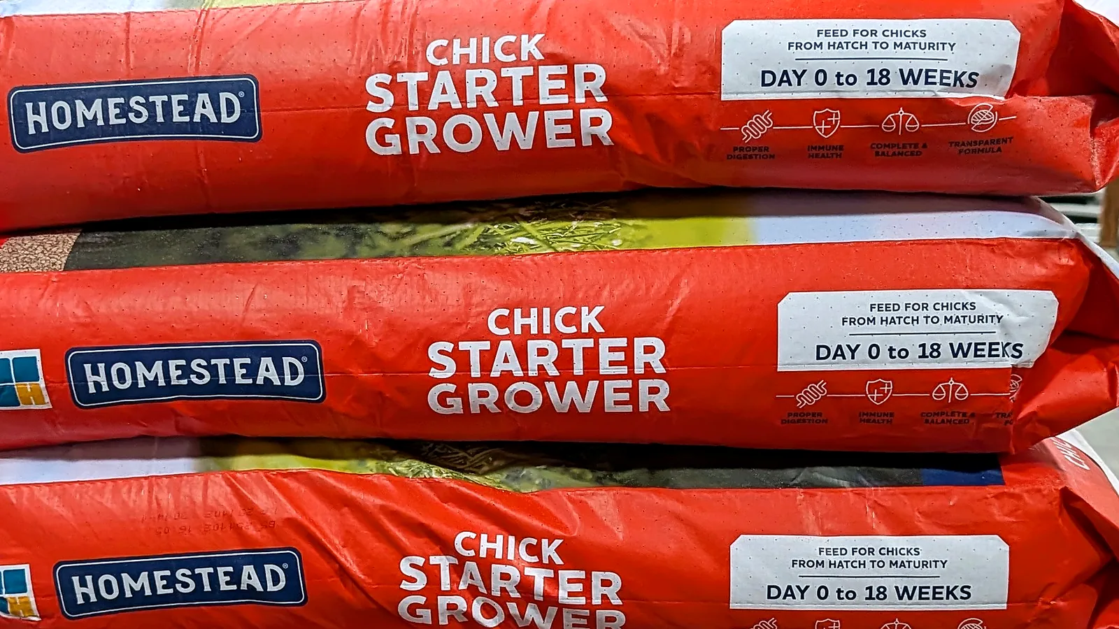 Hubbard Homestead chick starter grower feed at Farm Choice Country Store